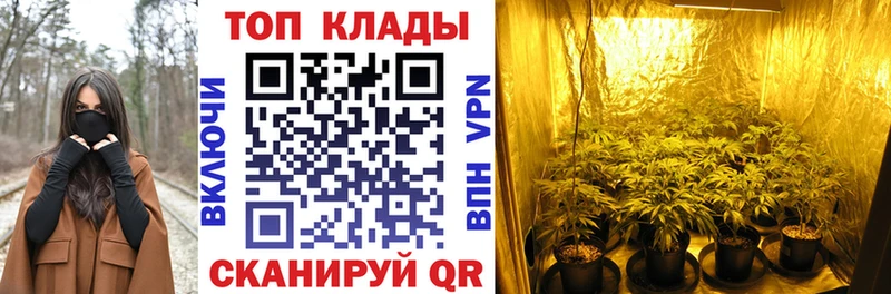 Магазины продажи наркотиков Камень-на-Оби Галлюциногенные грибы Cocaine ГАШ Канабис
