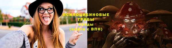 гидропоника Иннополис