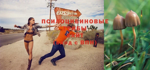 гидропоника Иннополис