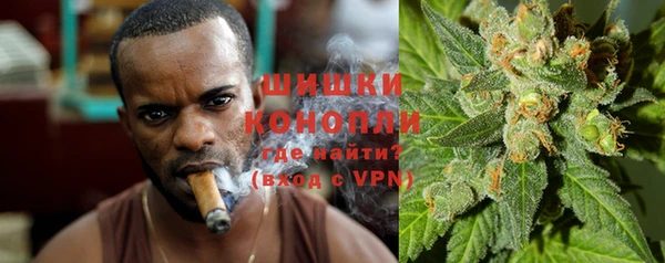 гидропоника Иннополис