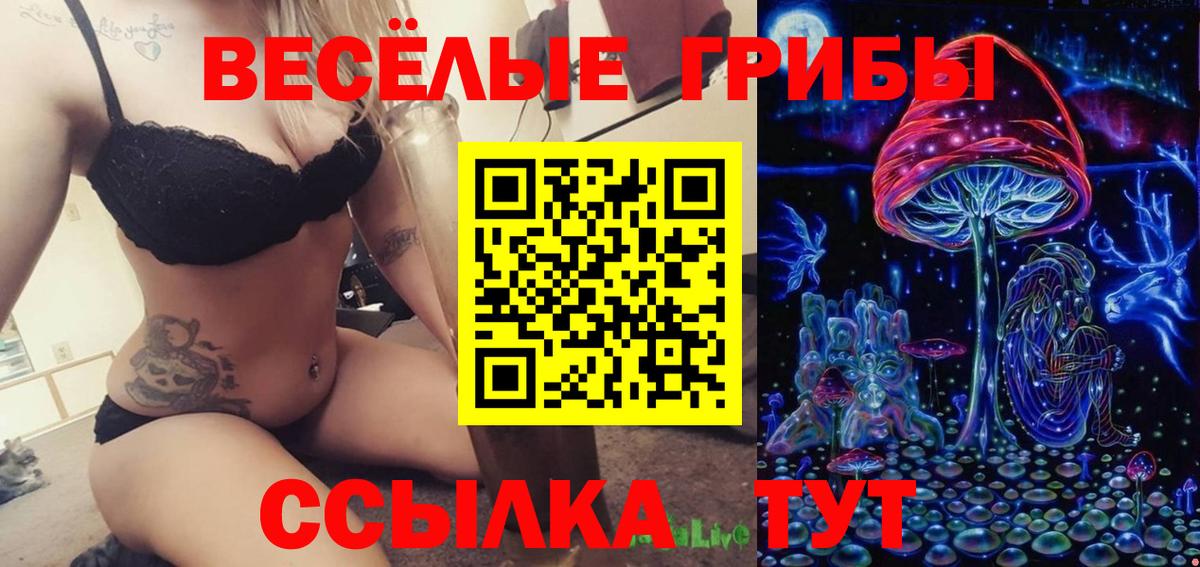 Псилоцибиновые грибы мицелий Камень-на-Оби